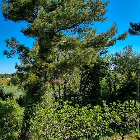 Juli No 2 Апартаменти